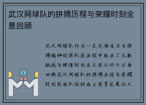 武汉网球队的拼搏历程与荣耀时刻全景回顾